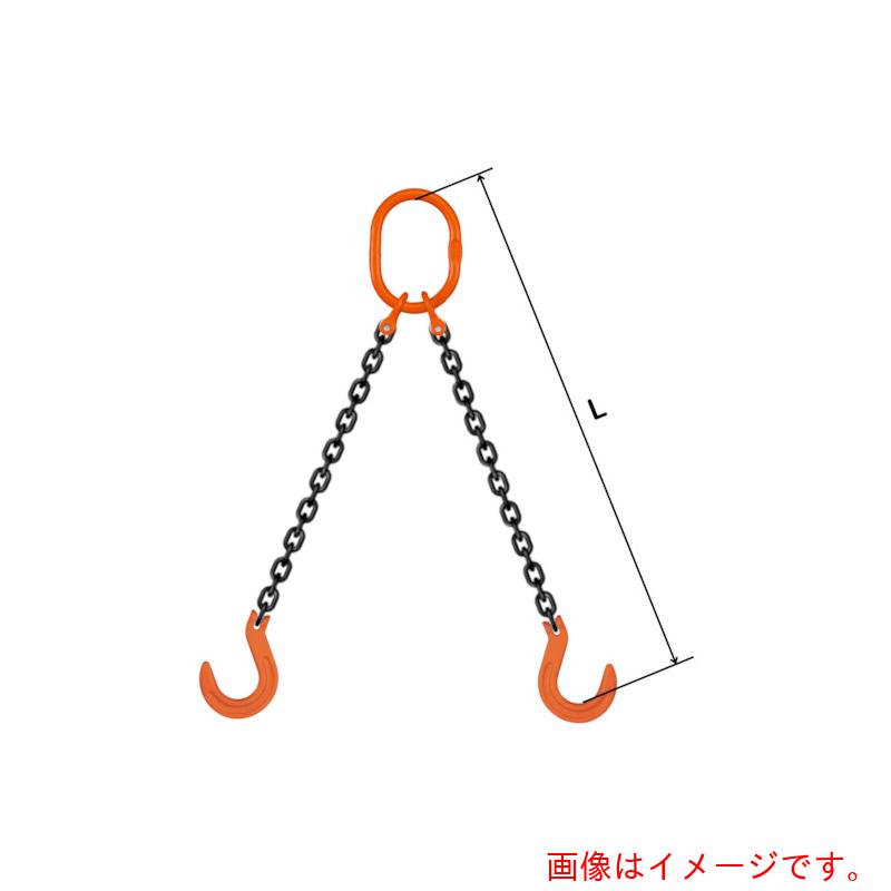 pewag　スリングチェーン　ダブル（ピンタイプ）　WP5M　10×3．5M　【品番：035ZPWP5M103S5】