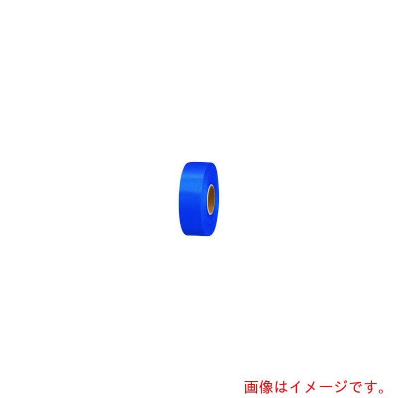 �ץ饹��PLUS�ˡ�JTX��831138�˥���−��ܥ󺰡�24mmX25m��10��B824J−NB10�������֡�B824J-NB10��