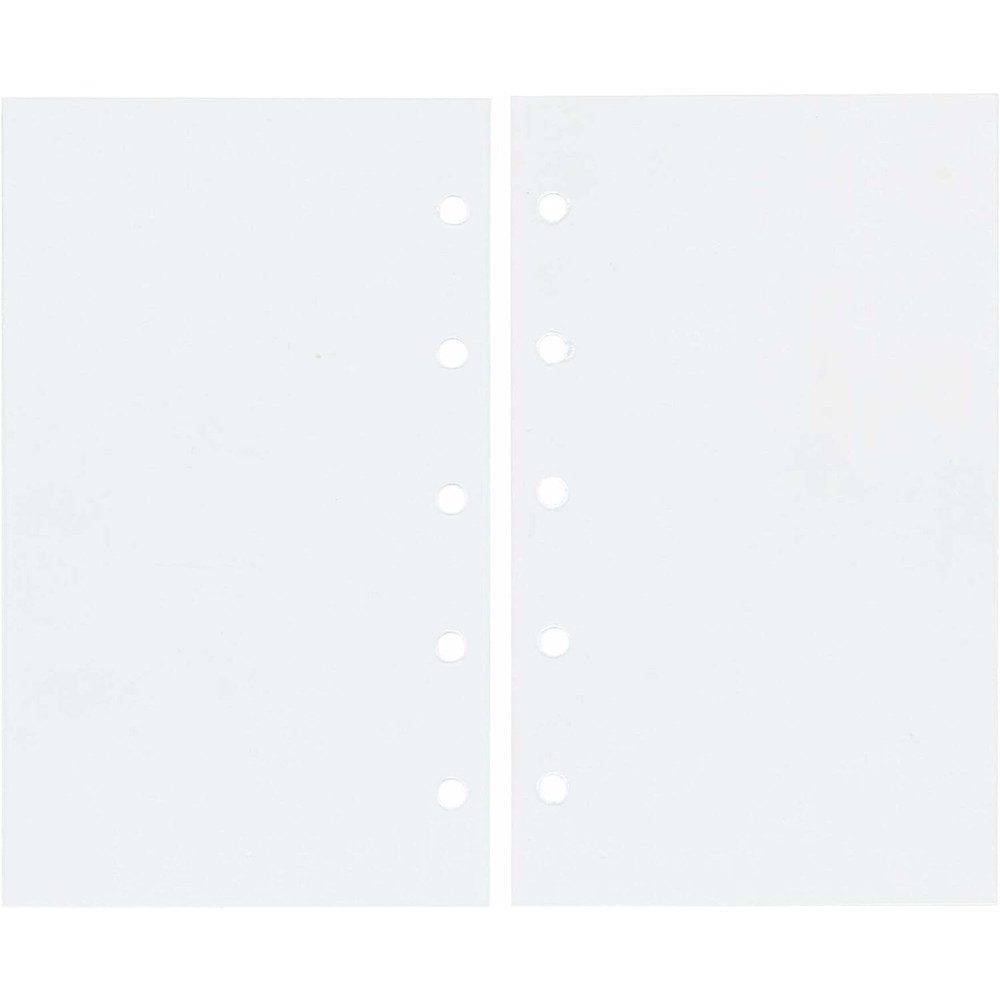 ●入数： 5枚 ●素材： PP製 ●サイズ： W64×H106mm ●特長： 大切な情報や使用頻度の高いリフィルの汚れ、破損を防ぎます。(中紙なし) 【メーカー名】（株）レイメイ藤井 【メーカー品番】DMR344
