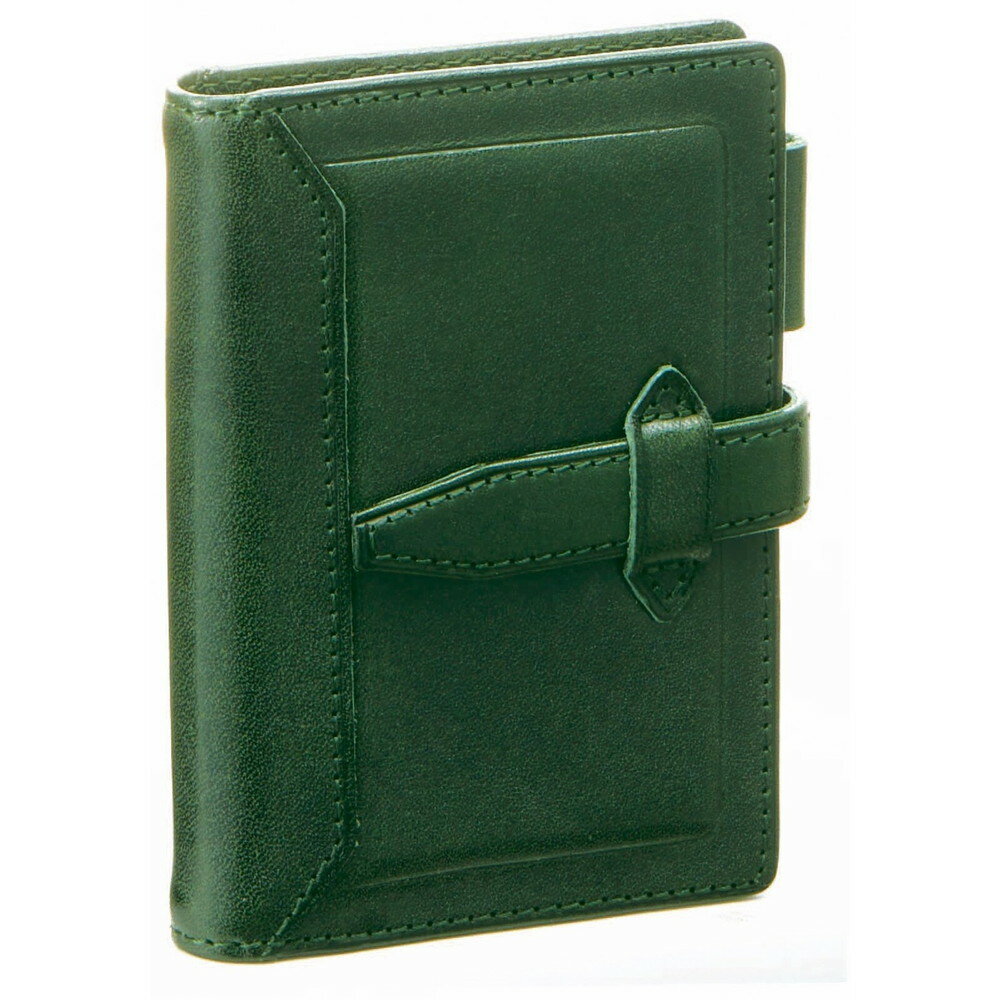 レイメイ藤井 ダ・ヴィンチ グランデ ロロマクラシック mini5サイズ システム手帳（リング11mm） グリーン 【品番：DPM3034M】