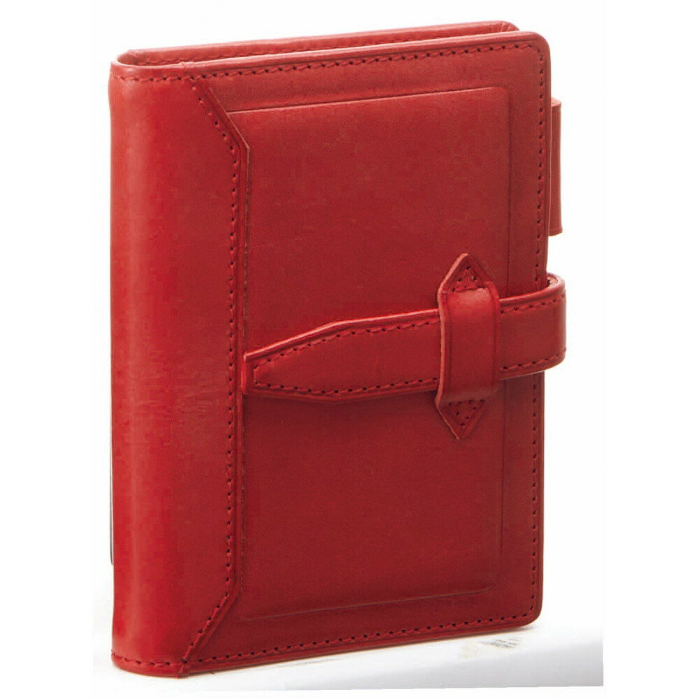 レイメイ藤井 ダ・ヴィンチ グランデ ロロマクラシック mini5サイズ システム手帳(リング11mm) レッド 【品番:DPM3034R】