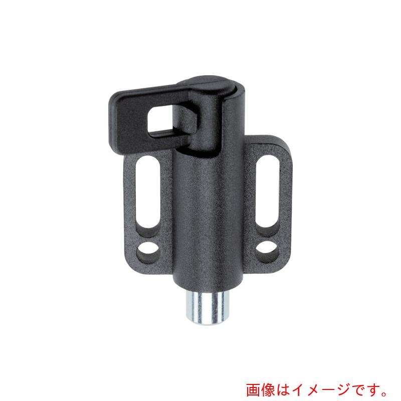 ロームヘルド・ハルダー HALDER インデックスボルト 水平カラー付 ロック機構付、右 【品番：22120.1232】