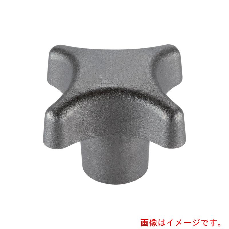 ロームヘルド・ハルダー　HALDER　パームグリップ　DIN6335、鋳鉄　形状E　【品番：24620.0450】