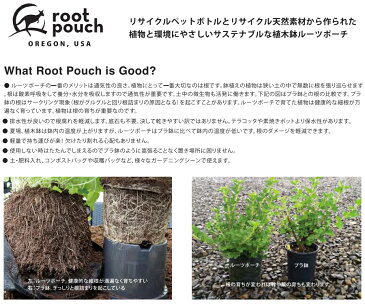 root pouch(ルーツポーチ) リサイクルペットボトルから作られた不織布製の植木鉢 Navy with handles 16liter
