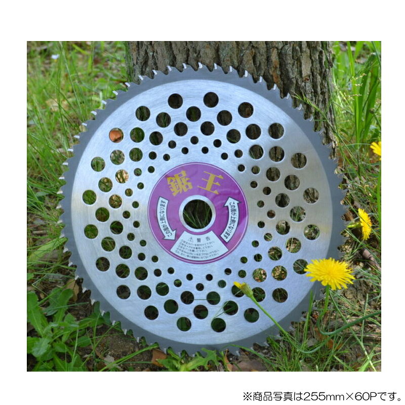 アーレスプラン　草刈チップソー　鋸王（箱入り） 外径230mm×歯数50P　【品番：RJ-...