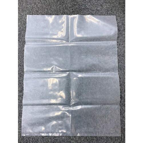 セーフラン安全用品（SAFERUN） アスベスト廃棄用袋 小 650×850mm 透明（10枚入） 【品番：J2609-S】□