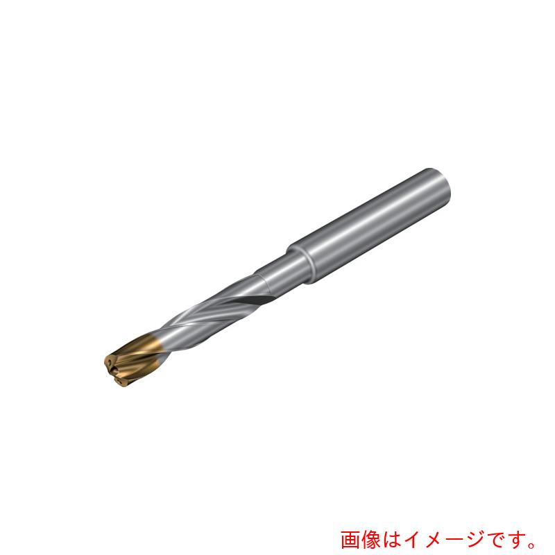 【メール便対応】サンドビック　コロマントカンパニー　SANDVIK　コロドリル860‐GM　超硬ソリッドドリル（720）　X1BM　【品番：860.1-0450-036A1-GM】(4)