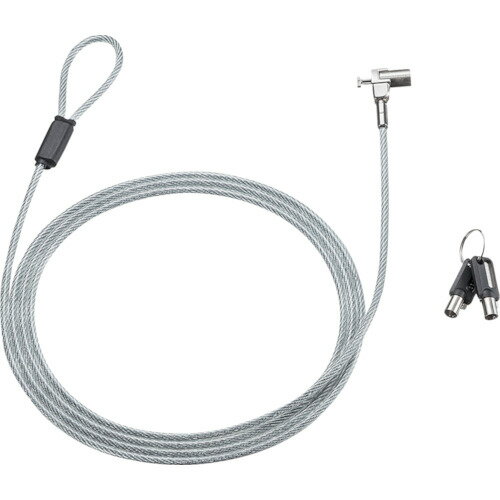 サンワサプライ（SANWA SUPPLY）　超小型シリンダセキュリティ（eセキュリティ・鍵No．1）　【品番：SLE-44S-1】