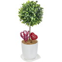 ササガワ(SASAGAWA) 人工観葉植物 ボックスウッド Sサイズ 【品番:32-8704】