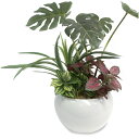 ササガワ(SASAGAWA) 人工観葉植物 モンステラ寄植え Sサイズ 【品番:32-8708】