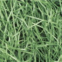 ササガワ(SASAGAWA) 紙パッキン 1kg グリーン 【品番:35-5835】