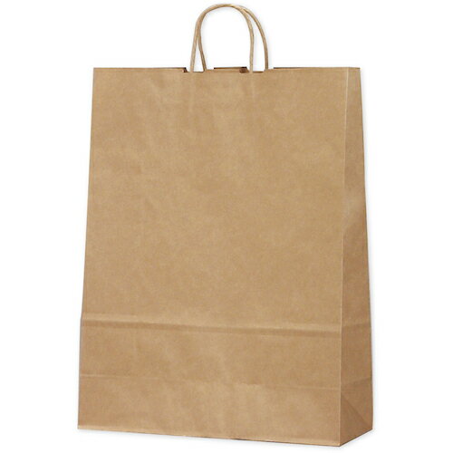 ササガワ（SASAGAWA）　手提袋　未晒　10P　【品番：50-6401】