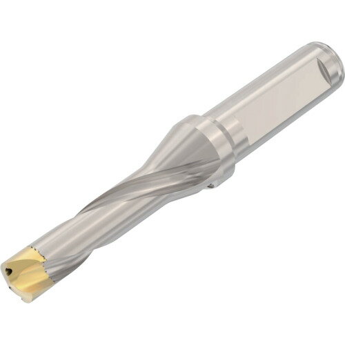 セコ・ツールズ・ジャパン（Seco）　ドリル加工　Crownloc（クラウンロック）　SD103　【品番：SD103-24.00/25.99-75-25R7】(4.0)