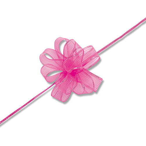 特長 ●リボンを切って両端からリボンの真中の細い紐を引くと、きれいな花ができます。 ●完成サイズ：約70mmφ　そのままディスプレーとして陳列できる化粧箱入りです。 仕様 ●幅17mm×20m巻 材質 ●ナイロン・メタル 質量・質量単位 ●40.0g 【メーカー名】（株）シモジマ 【メーカー品番】001411301