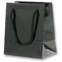 シモジマ HEIKO 手提げ紙袋 ブライトバッグ 黒 T−5 10枚入り 【品番:006143301】