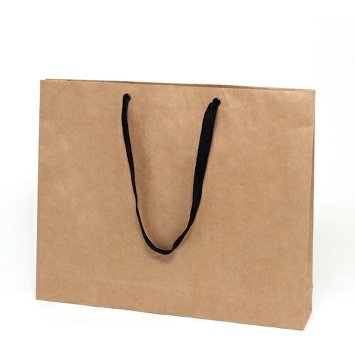 シモジマ　HEIKO　手提げ紙袋　ファッションバッグ　未晒無地　L　10枚入り　【品番：006470610】