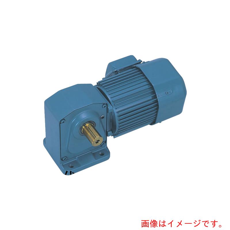 シグマー技研　直交軸脚取付形減速機　三相0．1KW　減速比1／100　ブレーキ付　【品番：TMHLB-01-100A】