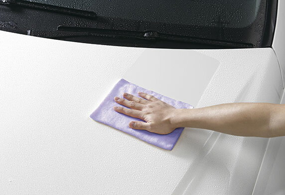 �ڥ᡼�����б��ۥ��ե�99�����ݥ졼����󡡷�ۿ� �쥮��顼�������������֡�4975759042075��