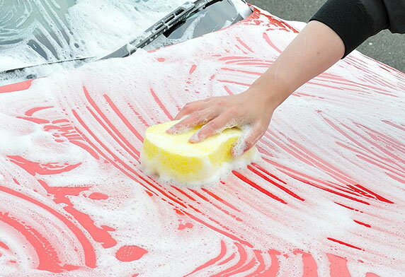 ���ե�99�����ݥ졼��������֥��ݥ� PRO�������֡�4975759040453��