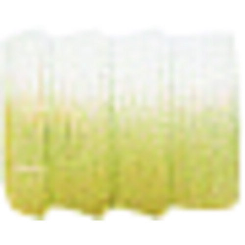 ߥץŷԾŹ㤨֥ĥ͹ȡSUGATSUNE1200402123820011M6󥵡Ȥͤ֡3820011ۡפβǤʤ22ߤˤʤޤ