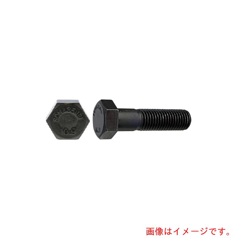 サンコーインダストリー（SUNCO）　10．9　六角ボルト　NBI　14X65X34　（40本入）　【品番：B0-00-B40..