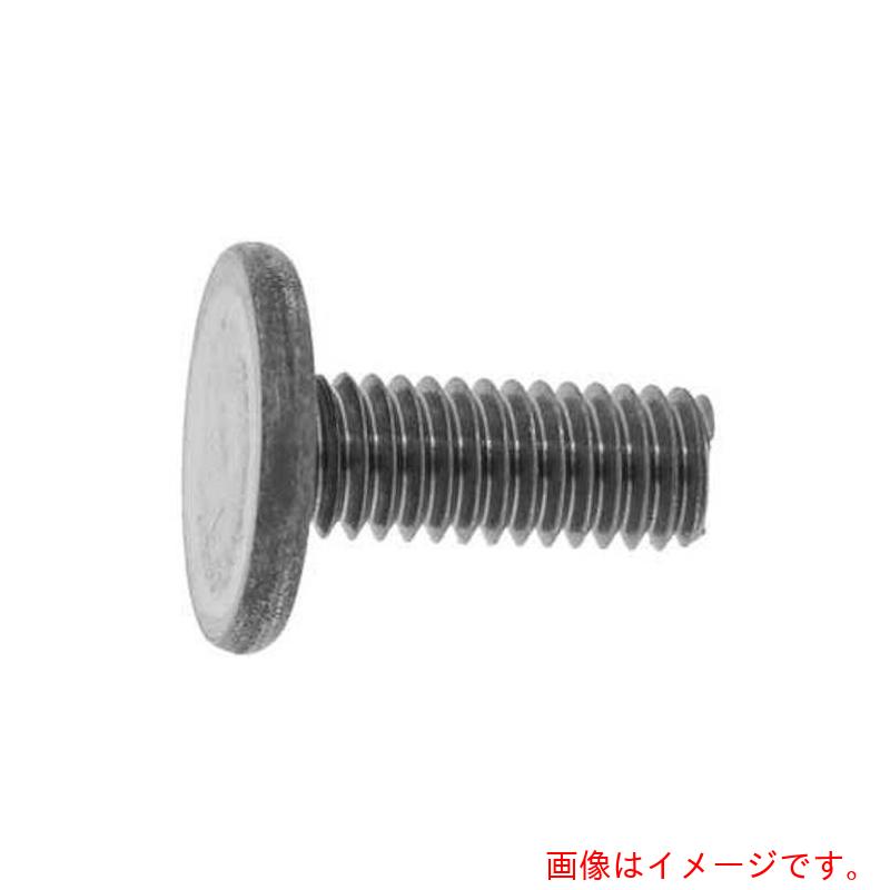 サンコーインダストリー（SUNCO）　大平小ネジ　6×16　（90本入）　【品番：00-00-080C-0060X0160-00-9..