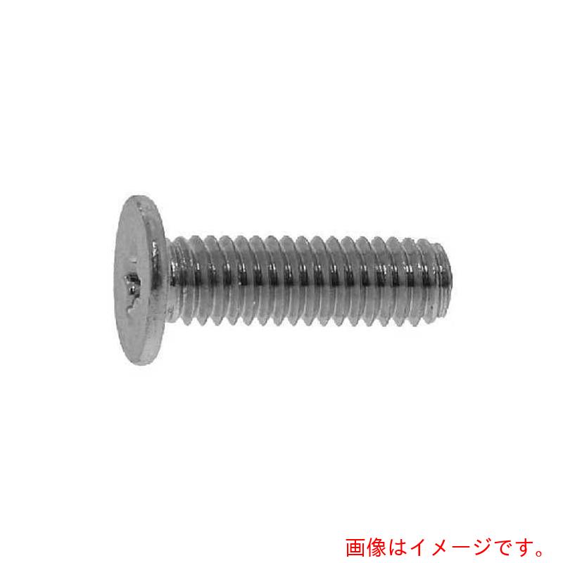 サンコーインダストリー（SUNCO）　ニッケル（＋）超低頭ねじ（AHN3　3×4　（2000本入）　【品番：00-00-A000-0030X0040-05】