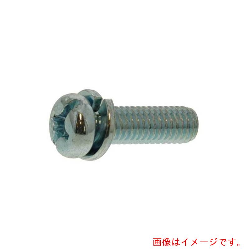 サンコーインダストリー（SUNCO）　組込みねじ　（＋−）ナベP＝2（鉄（または標準）・クロメート）　M6×25（60本入）　【品番：10-00-0202-0060-0250-02-60P】