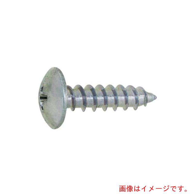 サンコーインダストリー（SUNCO）　三価ブラック　（＋）Aトラス　4×16　（150本入）　【品番：20-00-0..