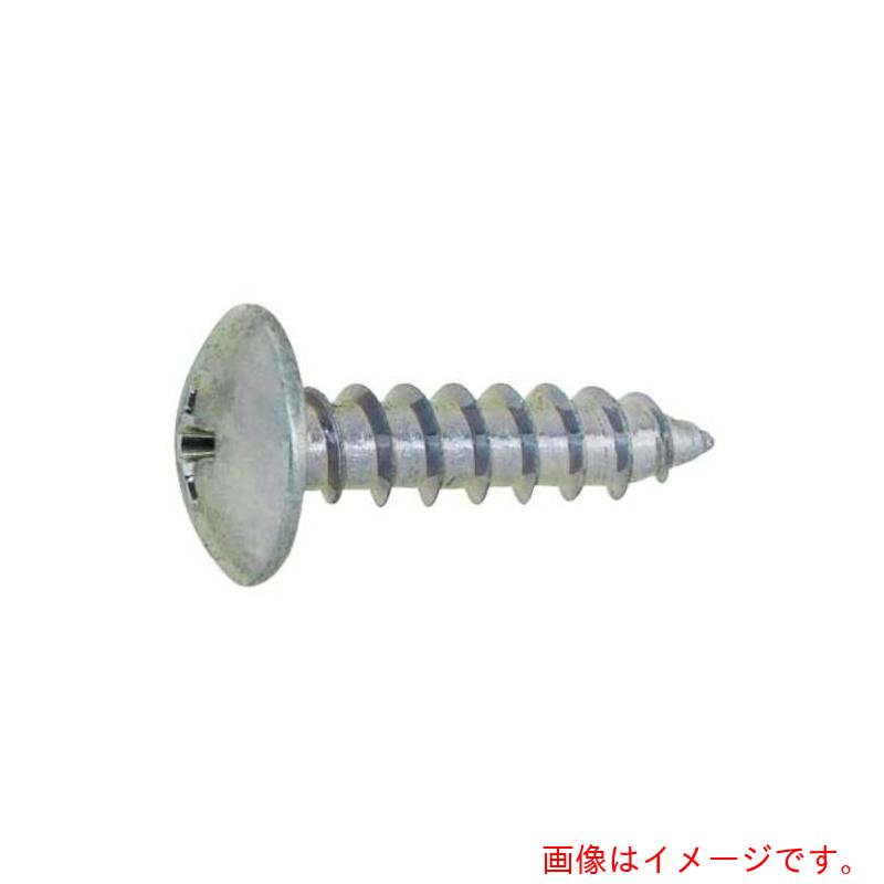 サンコーインダストリー（SUNCO）　ステン（＋）Aトラス　4×100　（100本入）　【品番：20-02-0003-004..