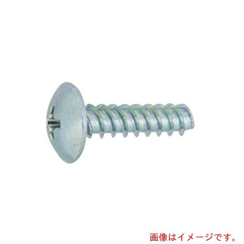 サンコーインダストリー（SUNCO）　BK　SUS（＋）Pタイプ　トラス　3×6　（2000本入）　【品番：30-02-2003-0030-0060-08】