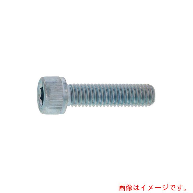 サンコーインダストリー（SUNCO）　クロニッケル　CAP（六角穴付きボルト）（半ねじ　6×55　（10本入）　【品番：A0-00-0000-0060-0550-21-10】