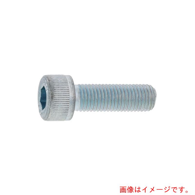 サンコーインダストリー（SUNCO）　CAP（六角穴付きボルト）（細目P−2．0　24×160　（1本入）　【品番：A0-00-0004-0240-1600-00-1】