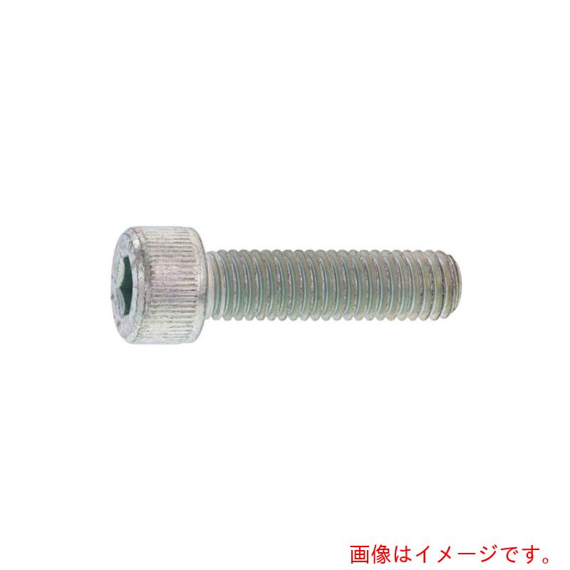 サンコーインダストリー（SUNCO）　ユニクロ　CAP（六角穴付きボルト）　日本鋲螺　6×30　（50本入）　【品番：A0-00-000B-0060-0300-01-50】