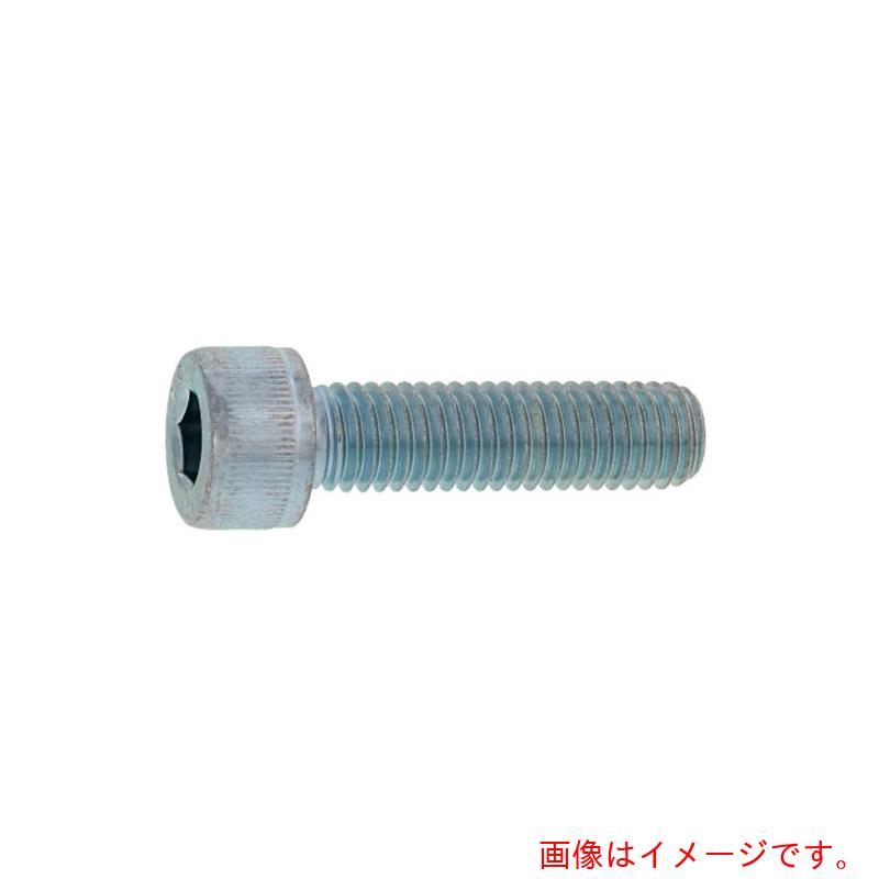 サンコーインダストリー（SUNCO）　三価ホワイト　CAP（日星精工　8×45　（100本入）　【品番：A0-00-000C-0080-0450-03】