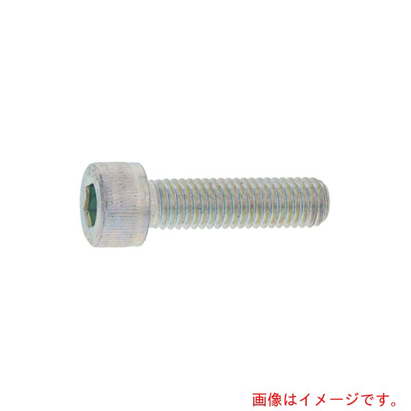 サンコーインダストリー（SUNCO）　三価ホワイト　CAP（日産ネジ　　20×35　（20本入）　【品番：A0-00-000N-0200-0350-03】