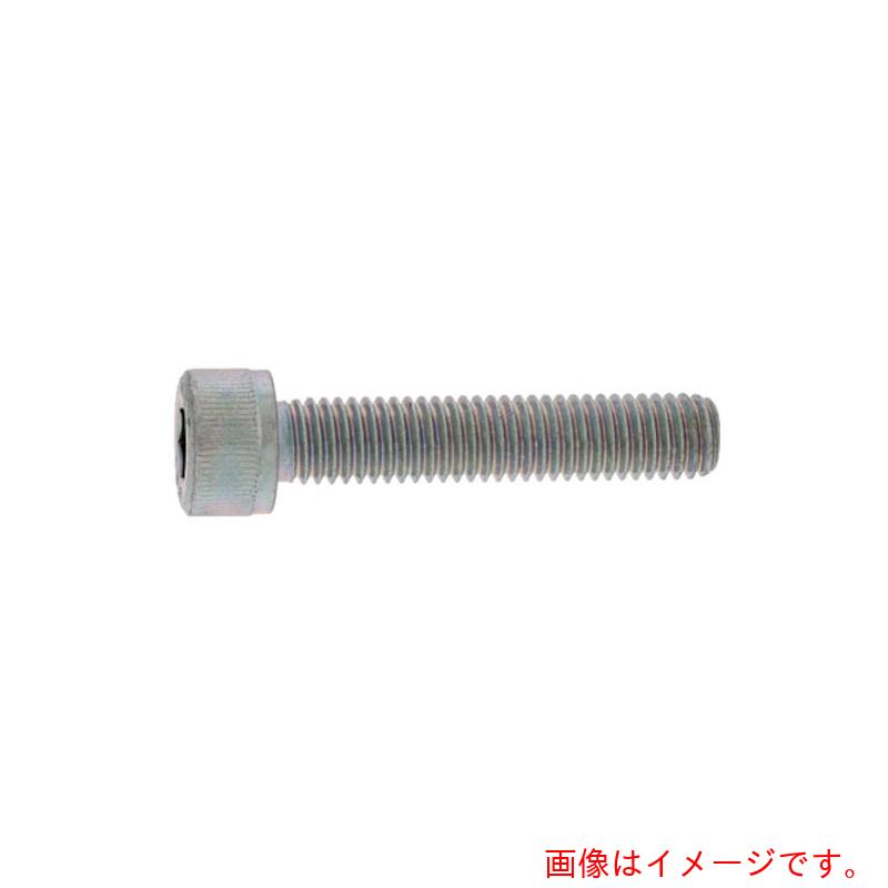 サンコーインダストリー（SUNCO）　ユニクロ　CAP（全ネジ　20×110×110　（1本入）　【品番：A0-00-001..