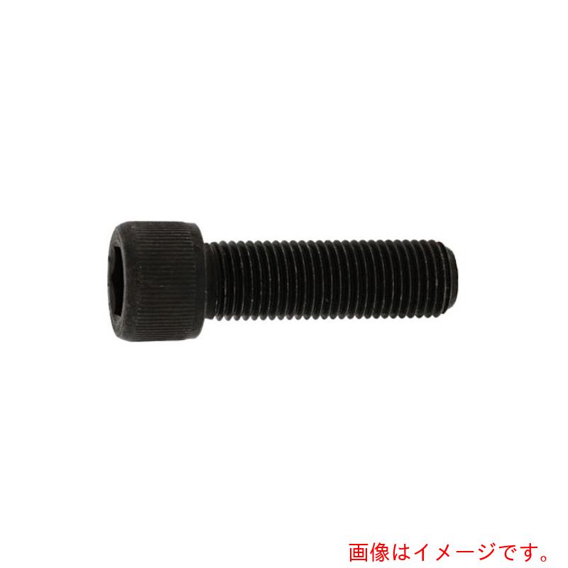 サンコーインダストリー（SUNCO）　CAP（UNF1／2−20×6（1本入）　【品番：A0-00-0040-8040-8600-00-1】