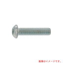 サンコーインダストリー(SUNCO) 三価ホワイト ボタンCAP(日産ネジ JIS B1174 12×45 (60本入) 【品番:A0-00-100N-0120-0450-03】(4)