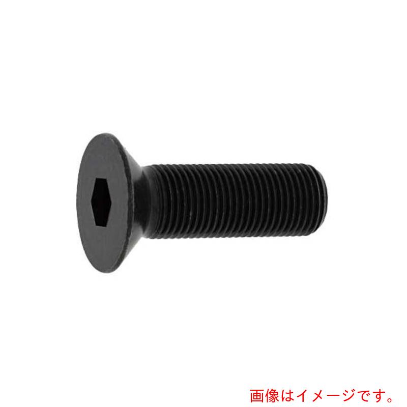 サンコーインダストリー（SUNCO）　ユニクロ　サラCAP（細目　P−1．25　10×35　（100本入）　【品番：A0-00-2004-0100-0350-01】