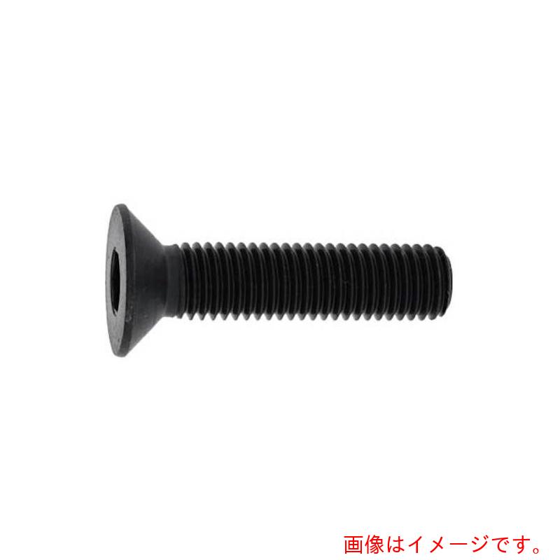 サンコーインダストリー（SUNCO）　サラCAP（日星（全ネジ　14×95　（1本入）　【品番：A0-00-201C-014..