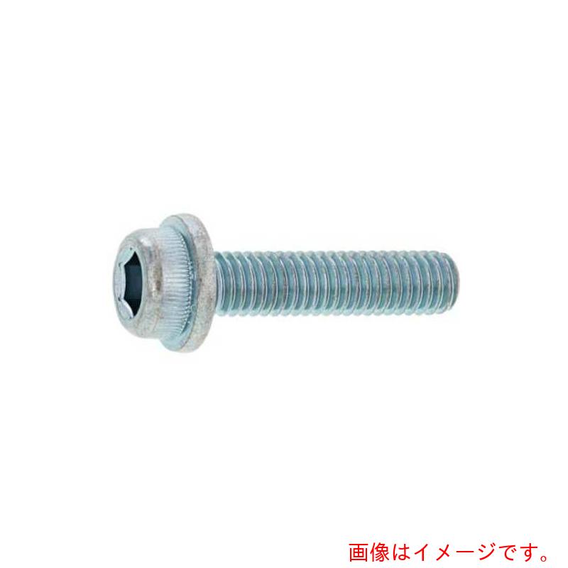 サンコーインダストリー（SUNCO）　ユニクロ　フランジCAP　6×15　（30本入）　【品番：A0-00-300M-0060-0150-01-30】