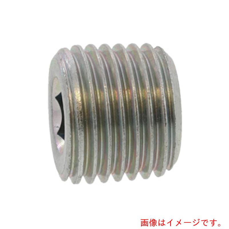 サンコーインダストリー（SUNCO）　クロメ−ト　阪村　プラグ（浮き　SWCH10R　R1／4−19　（20本入）　..