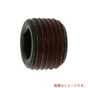 サンコーインダストリー(SUNCO) ストッキングプラグシズミ GM 1/4 (500本入) 【品番:A0-00-581S-8020-0000-00】