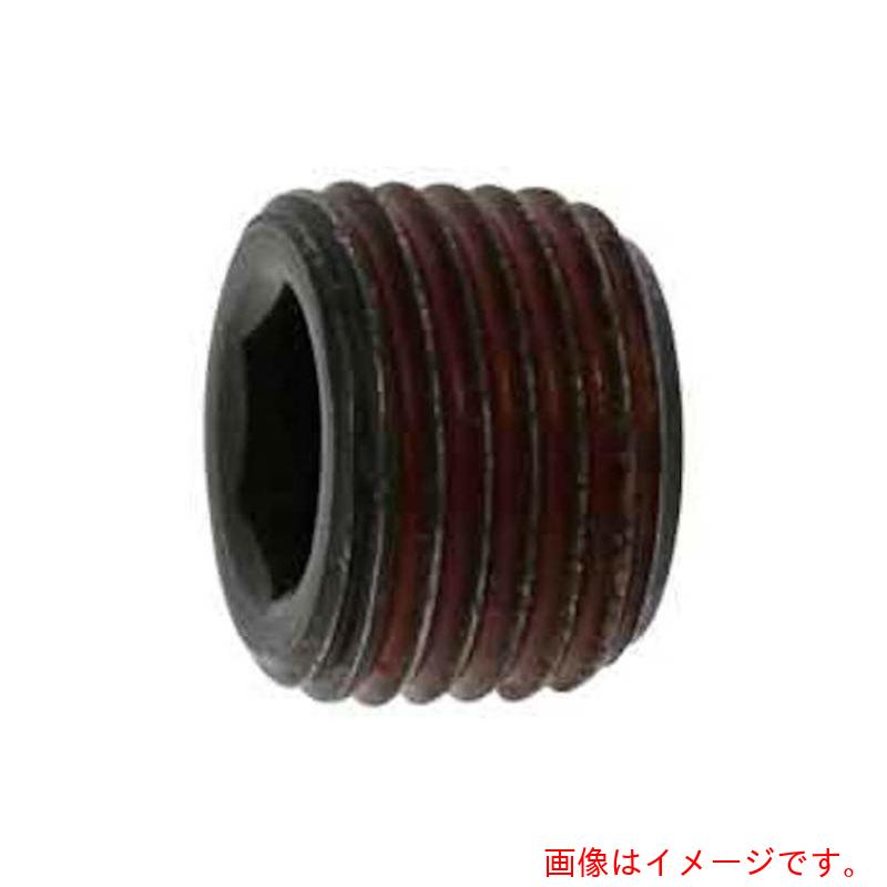 サンコーインダストリー（SUNCO）　ストッキングプラグシズミ　GM　3／8　（7本入）　【品番：A0-00-58..