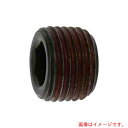 サンコーインダストリー(SUNCO) ストッキングプラグシズミ GM 1/2 (6本入) 【品番:A0-00-581S-8040-0000-00-6】