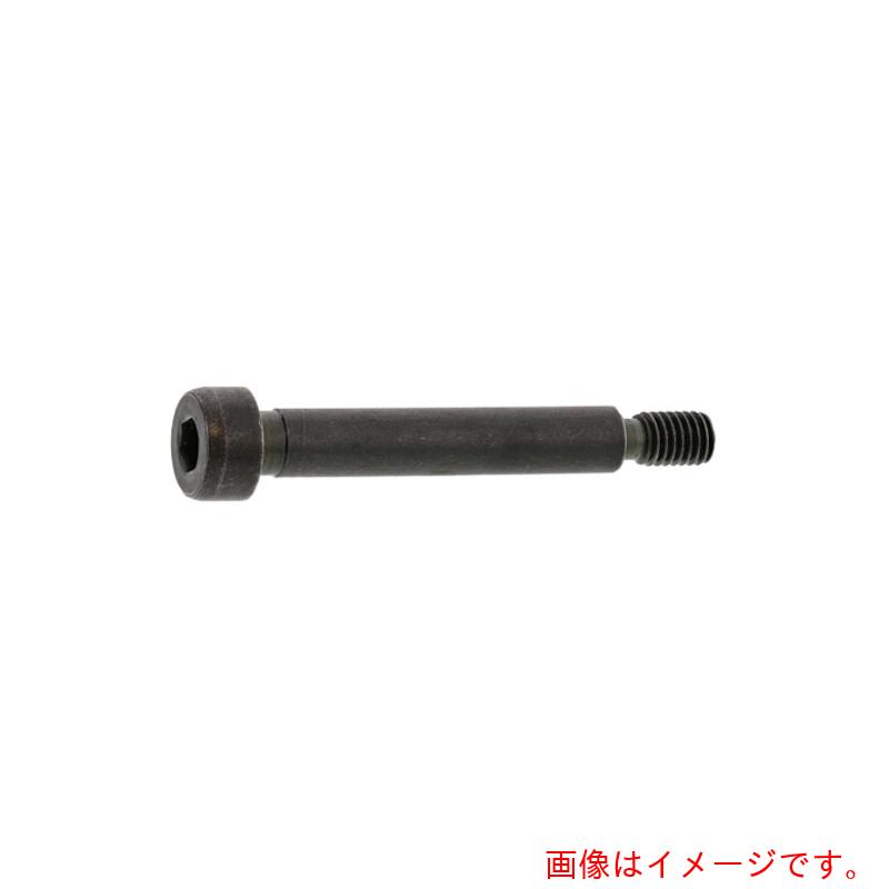 サンコーインダストリー（SUNCO） GOSHOショルダーBT STタイプ 6 X 25 （100本入） 【品番：A0-00-601G-0060-0250-00】