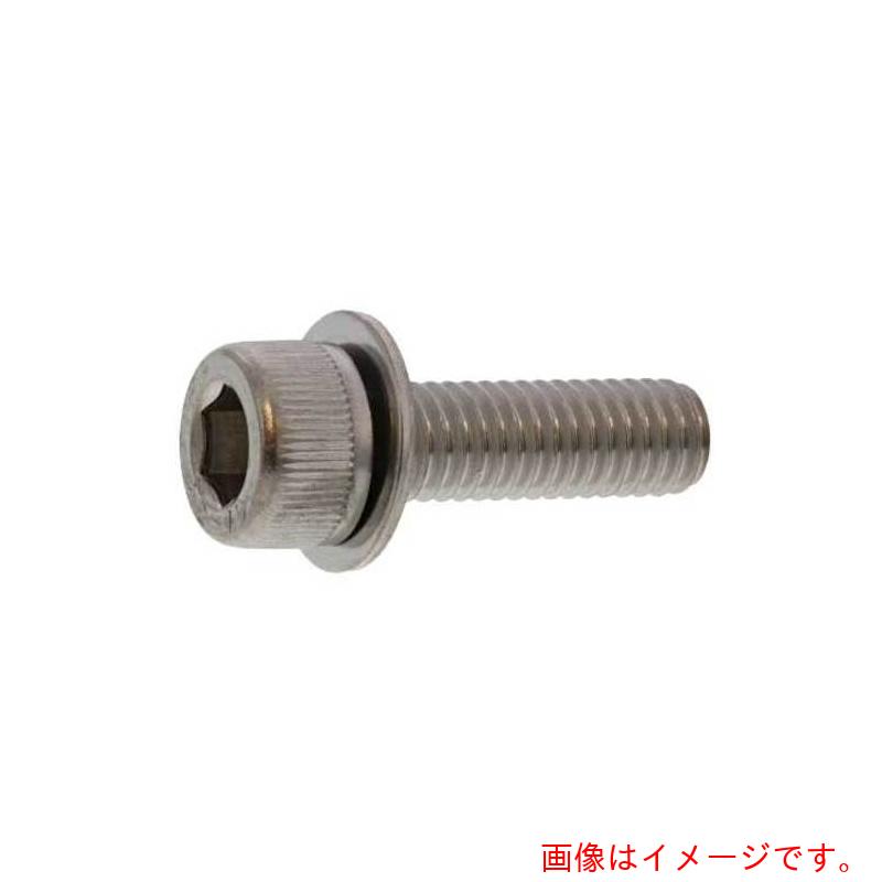 サンコーインダストリー（SUNCO） 10．9CAP P＝1 6 X 15 （30本入） 【品番：A0-00-9010-0060-0150-00-30】