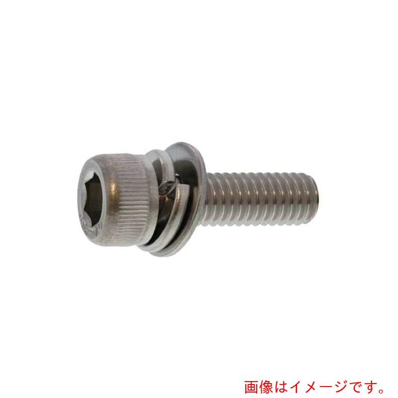 サンコーインダストリー（SUNCO）　10．9CAP　P＝3　6　X　40　（100本入）　【品番：A0-00-9030-0060-0400-00】