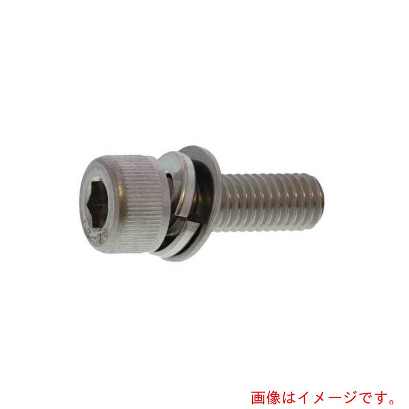 サンコーインダストリー（SUNCO）　10．9CAP　P＝4　6　X　30　（20本入）　【品番：A0-00-9040-0060-0300-00-20】